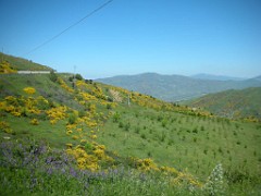13 Maggio 2007 2° Raduno Sicilia V-strommers 123